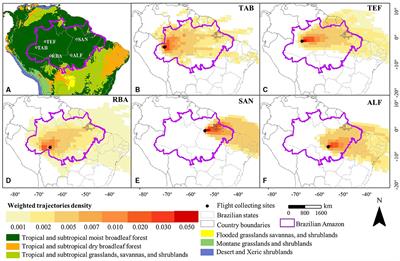 CO2 emissions in the Amazon: are bottom-up estimates from land use and cover datasets consistent with top-down estimates based on atmospheric measurements?